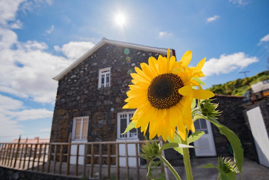Stone Dreams - Pedra Da Atafona Villa Calheta de Nesquim Exterior photo